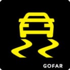 Traction Control Warning